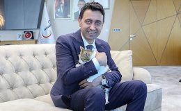 Bayraklı Belediye Başkanı İrfan Önal, yaralı kediye sahip çıktı ‘sahiplenme’ daveti yaptı